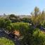 3 bedroom apartment for rent apostolos andreas limassol limassol 7784054 thumbnail 14625097