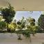 4 bedroom entire floor apartment for sale nicosia walled old city nicosia 1153054 thumbnail 5166170