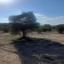 land for sale alampra nicosia 1062054 thumbnail 16162379