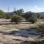 land for sale alampra nicosia 1062054 thumbnail 16162388