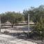 land for sale alampra nicosia 1062054 thumbnail 16162393