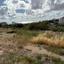 land for sale konia paphos 8395054 thumbnail 14815754