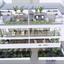 studio penthouse for sale geri nicosia 7885054 thumbnail 12857327