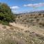 10368 SQM Land for sale in Nata, Paphos thumbnail 15599470