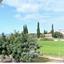 3 bedroom bungalow for sale kato paphos paphos 8959154 thumbnail 17778577