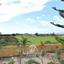 3 bedroom bungalow for sale kato paphos paphos 8959154 thumbnail 17778584