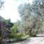 land for sale drynia paphos 8532154 thumbnail 16306165