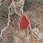 land for sale nata paphos 974154 thumbnail 15599469