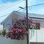 3 bedroom detached house for sale anthoupoli limassol limassol 1879254 thumbnail 7003431