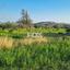 land for sale parekklisia limassol 1714254 thumbnail 5684842