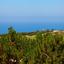 4 bedroom detached house for sale aphrodite hills paphos 1798354 thumbnail 12366963