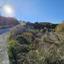 land for sale lemona paphos 8628354 thumbnail 16275694