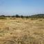 land for sale pachna limassol 8926354 thumbnail 17615387