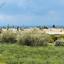 2 bedroom apartment for sale kapparis famagusta 8537454 thumbnail 15490050