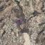 land for sale agia fyla limassol 8913454 thumbnail 17516309