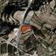 land for sale statos agios fotios paphos 1436454 thumbnail 10125594