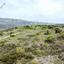 land for sale vavla larnaca 946454 thumbnail 12840757