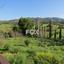 6 bedroom detached house for sale foinikaria limassol 1146554 thumbnail 5500449