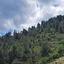 land for sale kaimakli nicosia 8726554 thumbnail 16332028