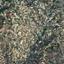 land for sale koilani limassol 8630554 thumbnail 16530658