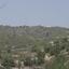 land for sale koilani limassol 8630554 thumbnail 16530662