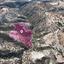 land for sale pissouri limassol 8281554 thumbnail 14007205