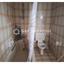 3 bedroom apartment for sale agios dometios nicosia 1761654 thumbnail 5538606