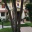 5 bedroom detached house for sale politiko nicosia 1173654 thumbnail 7020981