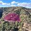 land for sale gerakies nicosia 8537654 thumbnail 15494004