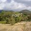 land for sale pera pedi limassol 1160654 thumbnail 5547381