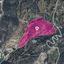 land for sale agios isidoros paphos 1213754 thumbnail 14890847