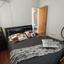 1 bedroom penthouse for rent strovolos nicosia 8512854 thumbnail 16334630