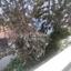 1 bedroom penthouse for rent strovolos nicosia 8512854 thumbnail 16334635