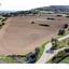 37459 SQM Land for sale in Pissouri, Limassol thumbnail 16416770