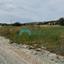 land for sale tochni larnaca 8467854 thumbnail 15179884