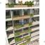 2 bedroom apartment for sale larnaca municipality larnaca 8743954 thumbnail 16416661