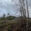 land for sale pelendri limassol 1081954 thumbnail 15603389