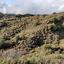 land for sale pelendri limassol 890954 thumbnail 15602588