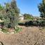 2 bedroom detached house for sale choirokoitia larnaca 8810064 thumbnail 16825999
