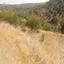 land for sale xyliatos nicosia 1846064 thumbnail 16294920