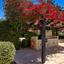 5 bedroom detached house for sale aphrodite hills paphos 7978164 thumbnail 15110470