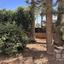 3 bedroom detached house for sale dekeleia larnaca 8026264 thumbnail 17088210