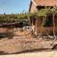 4 bedroom semi detached bungalow for sale nea dimmata paphos 1160264 thumbnail 11260318