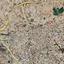 land for sale aradippou larnaca 8463264 thumbnail 16512150