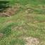 land for sale paramytha limassol 1831264 thumbnail 6468144