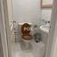 4 bedroom apartment for rent agios tychonas limassol 7549364 thumbnail 14614569