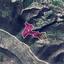 land for sale agios theodoros larnacas larnaca 1736364 thumbnail 15733336