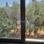 3 bedroom apartment for sale agios georgios limassol limassol 1937564 thumbnail 7661861