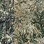 land for sale amargeti paphos 8798564 thumbnail 16717766