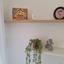 1 bedroom apartment for sale tombs of the kings paphos 8779664 thumbnail 16628726
